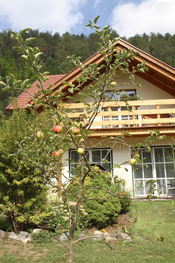Ferienwohnung Purbach Muggendorf  Buitenkant foto