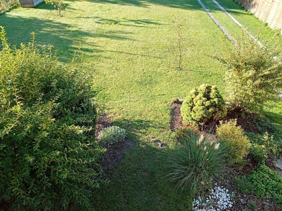 Ferienwohnung Purbach Muggendorf  Buitenkant foto